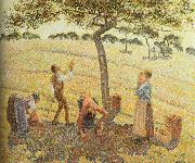 Camille Pissarro Pick  Apples USA oil painting artist